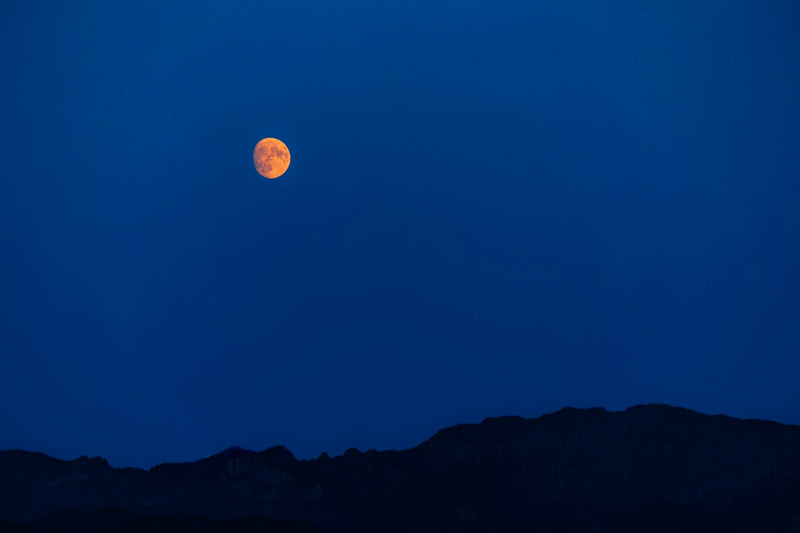 XÂY DỰNG SỰ NGHIỆP THẾ NÀO?