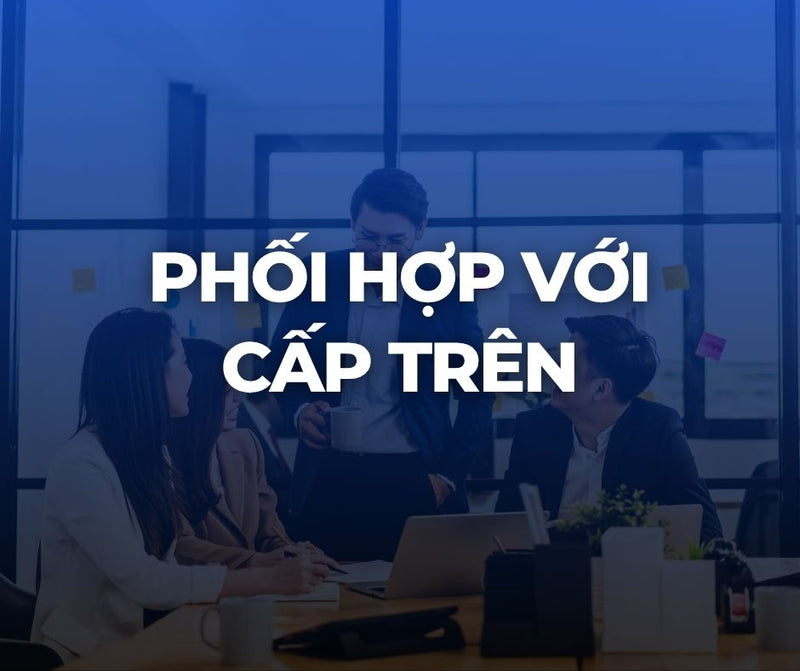 Tuần 6, 7: Phối hợp ăn ý với cấp trên